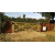 Roger BE20410M90S|SOLAR