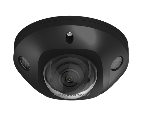 Hikvision DS-2CD2546G2-IS-B-2.8mm-Black(C)