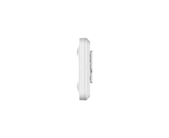 Ruijie RG-RAP2260(H)