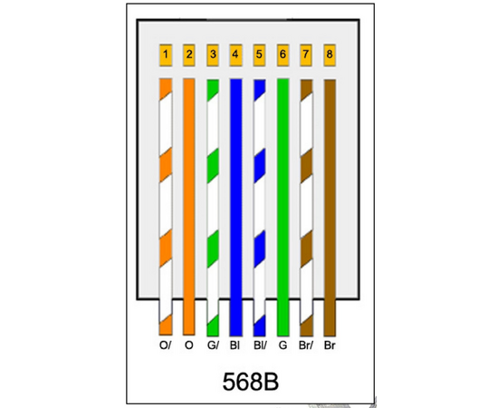Haydon HAY-RJ45CAT6-50RAP
