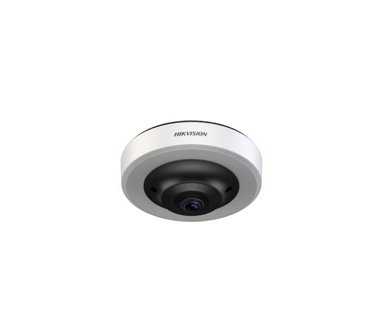 Hikvision DS-TCPC06-EP 12MP fisheye parking camera