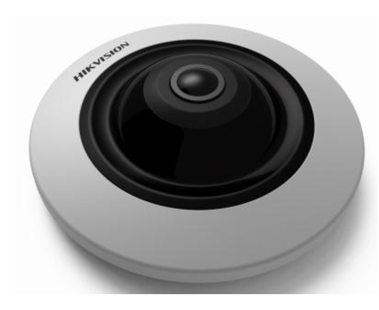 Hikvision DS-2CD2955FWD-IS  5MP internal IP fisheye camera