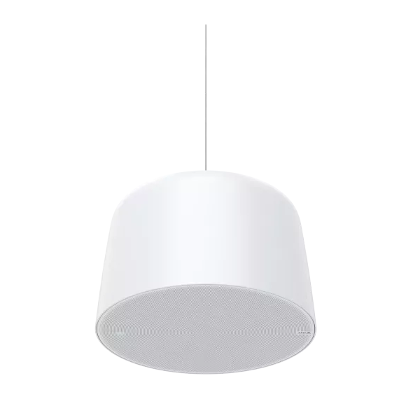AXIS C1510 Network Pendant Speaker (02389-001) – PoE Network Audio Speaker for V...